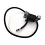 Pastormatic Batería 12V 12Ah para Pastor Eléctrico