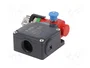 PIZZATO ELETTRICA FL Interruptor de seguridad de cuerda unilateral