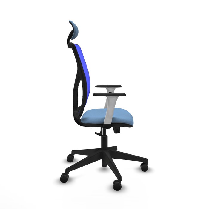 PIQUERAS Y CRESPO Silla de oficina Motilla con mecanismo Sincro, Azul cielo y Azul PIQUERAS Y CRESPO Silla de oficina Motilla con mecanismo Sincro, Azul cielo y Azul