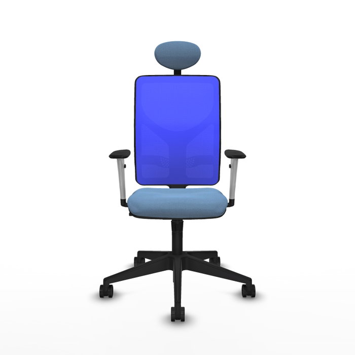 PIQUERAS Y CRESPO Silla de oficina Motilla con mecanismo Sincro, Azul cielo y Azul PIQUERAS Y CRESPO Silla de oficina Motilla con mecanismo Sincro, Azul cielo y Azul