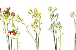 DKD Home Decor Flor Blanco Amarillo 15 x 57 x 15 cm (48 Unidades)