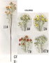 DKD Home Decor Flores de Poliéster Surtido 4 Colores Rábano