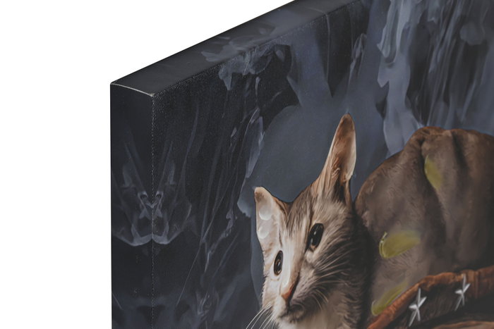DKD Home Decor Cuadro Gato Multicolor Lienzo MDF 90 x 60 cm (2 Unidades) DKD Home Decor Cuadro Gato Multicolor Lienzo MDF 90 x 60 cm (2 Unidades)