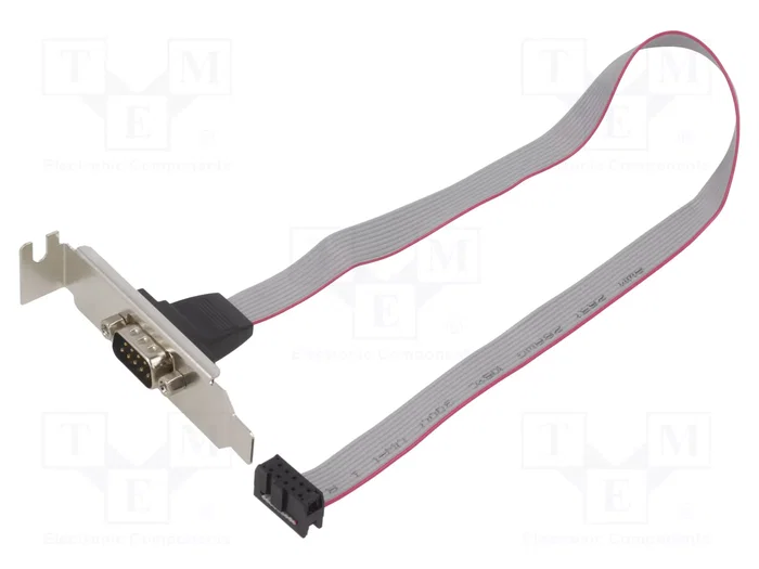 Gembird Adaptador de puerto serie DB9M COM 9PIN con cable IDC 10 pines