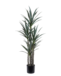 DKD Home Decor Planta de Yuca Verde PE
