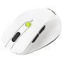ASUS MD105 /VT-GN Ratón Inalámbrico Verde y Blanco