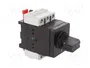 Schneider Electric TeSys VARIO Seccionador Principal de Seguridad 3 Polos 25A IP65