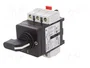 Schneider Electric TeSys VARIO Seccionador Principal de Seguridad 3 Polos 25A IP65