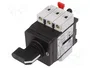 Schneider Electric TeSys VARIO Seccionador Principal de Seguridad 3 Polos 25A IP65