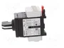 Schneider Electric TeSys VARIO Seccionador Principal de Seguridad 3 Polos 25A IP65