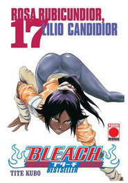 Panini España S.A. BLEACH BESTSELLER 17