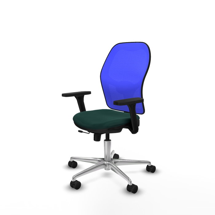 PIQUERAS Y CRESPO Silla de oficina Jorquera con mecanismo Sincro/Traslack, Verde botella y Azul PIQUERAS Y CRESPO Silla de oficina Jorquera con mecanismo Sincro/Traslack, Verde botella y Azul