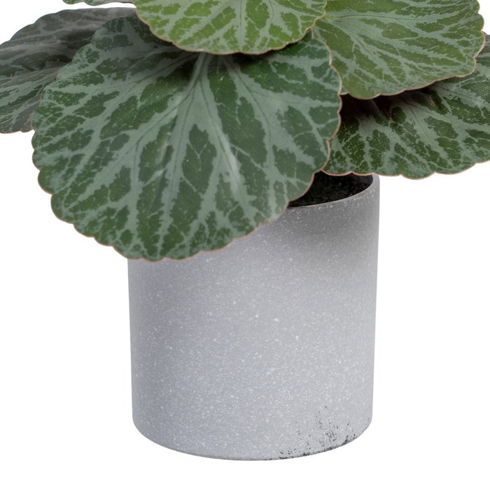 Saxifraga Verde "Pvc" 20 X 21 X 18 cm Saxifraga Verde "Pvc" 20 X 21 X 18 cm