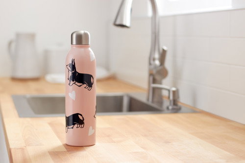 Vinilo Adhesivo para Plotter de corte Cricut Joy