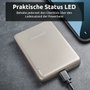 Intenso MW10000 MagSafe Champán 10000 mAh