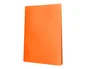 Liderpapel Carpeta Escaparate Naranja Fluor con 10 Fundas DIN A4