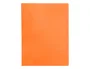 Liderpapel Carpeta Escaparate Naranja Fluor con 10 Fundas DIN A4