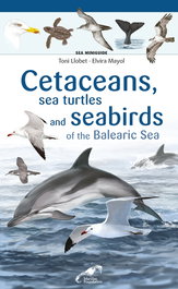 Cetaceans, sea turtles and seabirds of the Balearic Sea, Elvira Mayol - COSSETANIA EDICIONS