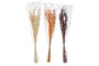 DKD Home Decor Ramo de Flores Secas Surtido de Lino