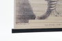 DKD Home Decor Lienzo Madera 60x2x90 Jarrones Surtido 2