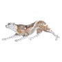 DKD Home Decor Figura de Resina Leopardo Blanco