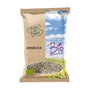 Herbes del Molí Angélica raíz BIO