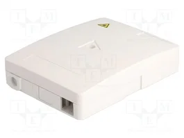 DeLOCK Caja de conexión de fibra óptica para montaje en pared, 2 x SC Simplex o LC Duplex, Blanco