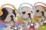 DKD Home Decor Figura de Resina Perro Gamer Surtido de 3 Unidades