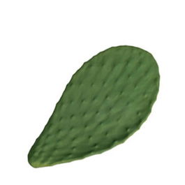 SUMMA PREMIUM Fuente o Rabanera CACTUS de Porcelana 32 x 17 cm para Vajilla - Decoración inspirada en Fauna y Flora - No Apto Lavavajillas ni Microondas (Set de 2)