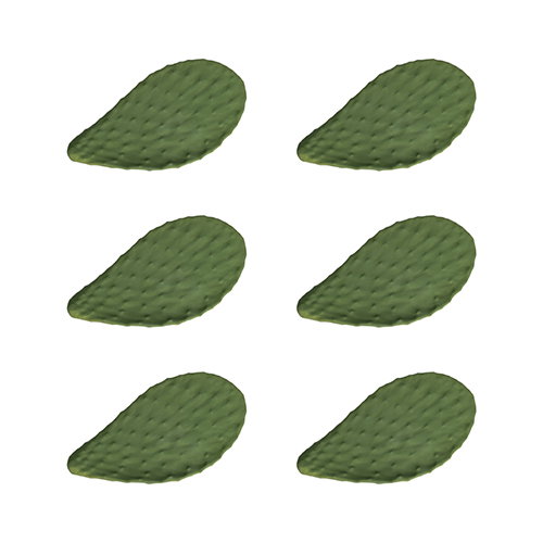 Summa Premium Fuente de Porcelana Cactus, Verde, 32 x 17 cm (Set de 2)