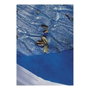 Gre Cubierta para piscina redonda Ø 300 o Easy Set D 366 anti UVA