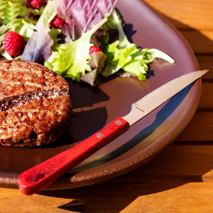 Cuchillo Chuletero Acero Inox y Madera Brasero Amefa 24 cm Cuchillo Chuletero Acero Inox y Madera Brasero Amefa 24 cm