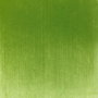 Panpastel 690.3 Verde amarillento sombra