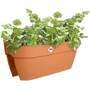 ELHO Vibia Campana Flower Bridge 60 Maceta Marrón L 26 x A 59 x A 22 cm Balcón/Exterior 100% reciclado ELH8711904534356