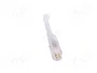 STEGO Lámpara LED Ecoline 5W 400lm 6000K