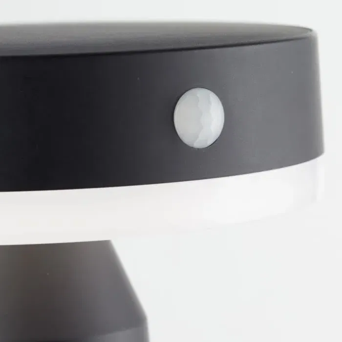 Brilliant BRI4004353437878 Aplique de exterior LED solar Metal y plástico 3,7W Negro