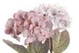DKD Home Decor Planta Cristal PE 18x18x31 Surtida