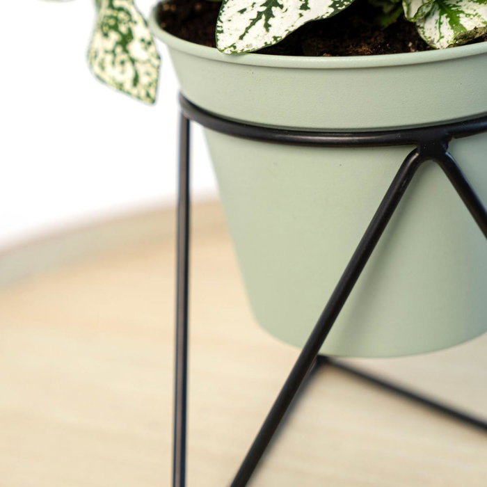 Vinthera Soporte con Macetero MOA Base Triangular Verde