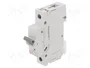 ETI POLAM Interruptor magnetotérmico ETIMAT P10 1P 20A 10kA