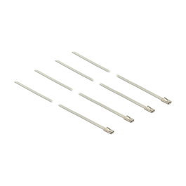 DeLOCK Abrazadera de Acero Inoxidable 18632 L 350 x An 4.6 mm 20 Piezas