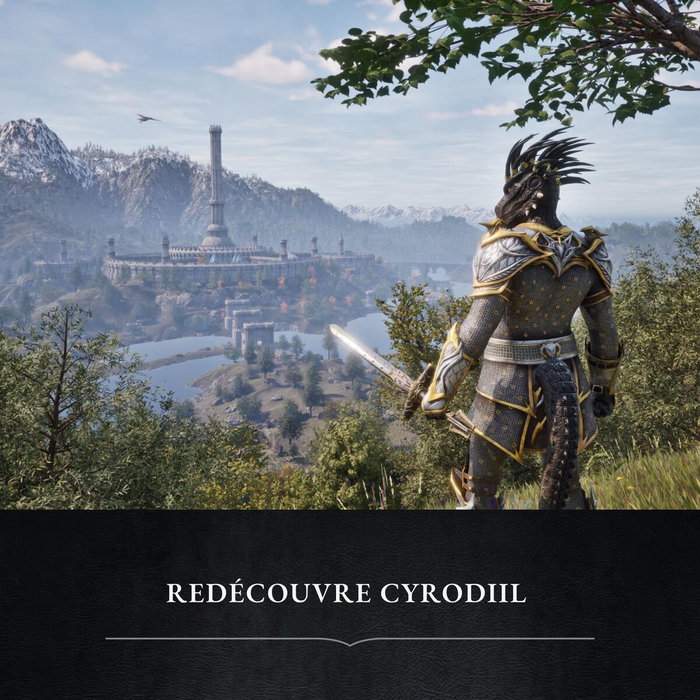 Microsoft Elder Scrolls IV Oblivion - Serie Xbox Microsoft Elder Scrolls IV Oblivion - Serie Xbox