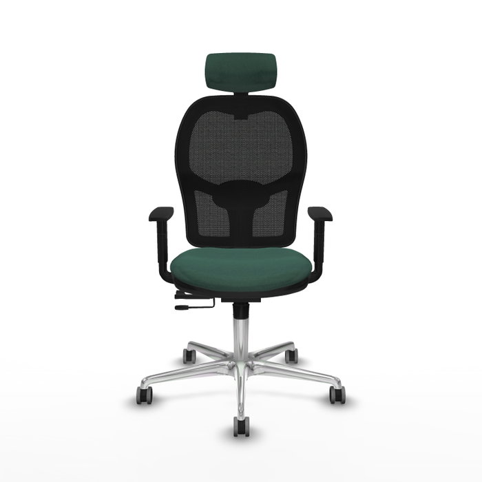 PIQUERAS Y CRESPO Silla de oficina Jorquera con mecanismo Sincro/Traslack Verde botella PIQUERAS Y CRESPO Silla de oficina Jorquera con mecanismo Sincro/Traslack Verde botella