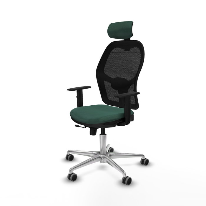 PIQUERAS Y CRESPO Silla de oficina Jorquera con mecanismo Sincro/Traslack Verde botella PIQUERAS Y CRESPO Silla de oficina Jorquera con mecanismo Sincro/Traslack Verde botella