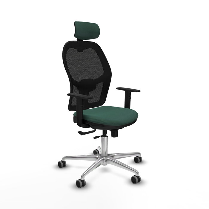PIQUERAS Y CRESPO Silla de oficina Jorquera con mecanismo Sincro/Traslack Verde botella PIQUERAS Y CRESPO Silla de oficina Jorquera con mecanismo Sincro/Traslack Verde botella