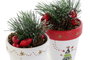 DKD Home Decor Maceta Multicolor 8 x 15 x 8 cm (12 Unidades) Cerámica y PP