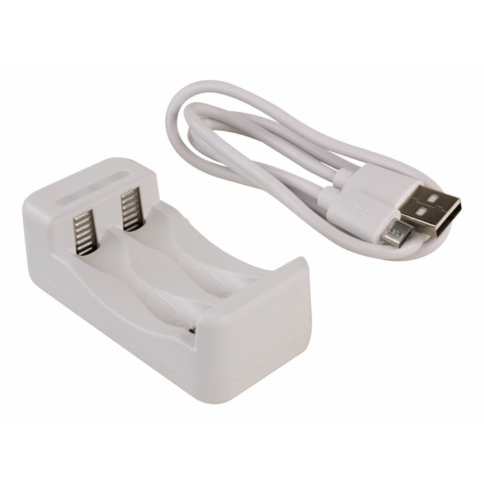Ansmann Charger Basic II con 2 x AA 1300mAh