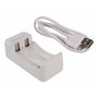 Ansmann Charger Basic II con 2 x AA 1300mAh