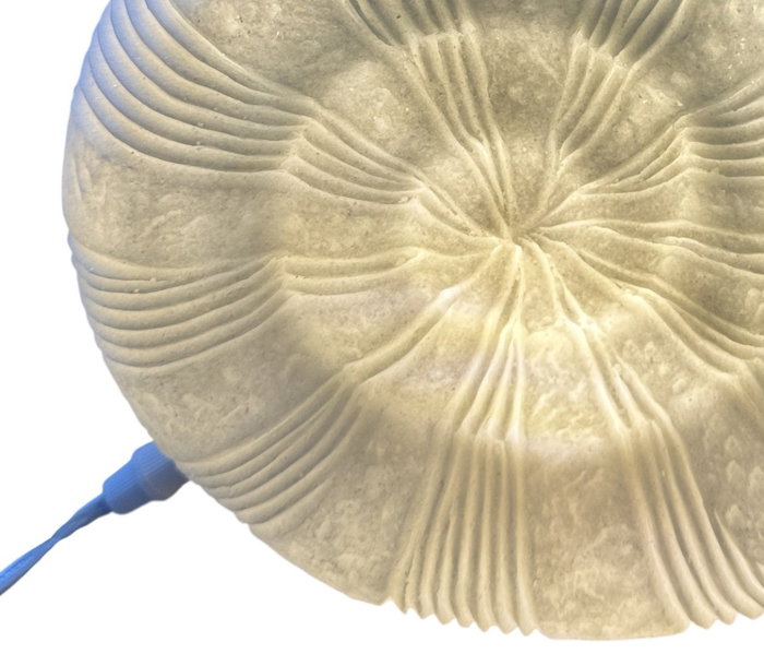 DKD Home Decor Lámpara de Sobremesa Mediterráneo, Arenisca Crudo con Detalle Caracola, Bombilla E14, 26x14x21 cm