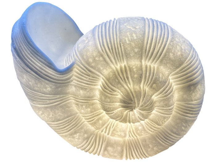 DKD Home Decor Lámpara de Sobremesa Mediterráneo, Arenisca Crudo con Detalle Caracola, Bombilla E14, 26x14x21 cm
