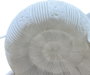 DKD Home Decor Lámpara de Sobremesa Mediterráneo, Arenisca Crudo con Detalle Caracola, Bombilla E14, 26x14x21 cm